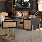 Avida Desk
