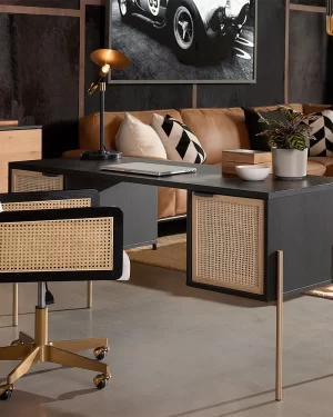 Avida Desk