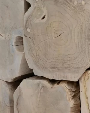 Glass and Teak Wood Dining Table