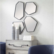 Irregular Shaped Black Mirrors